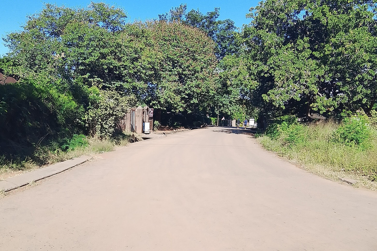 Victoria Falls: Walking Tour with Curio Market Visit