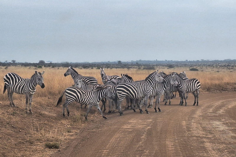 Nairobi National Park Half-Day Game Drive With Free Pick Up