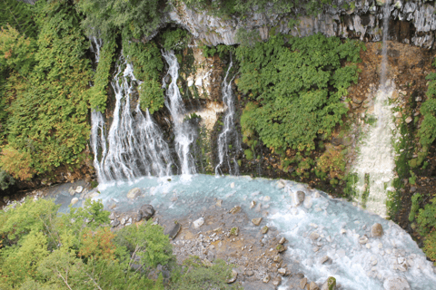 Hokkaido Summer Nature Experience: Furano & Biei