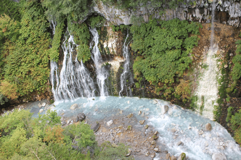 Hokkaido Summer Nature Experience: Furano & Biei