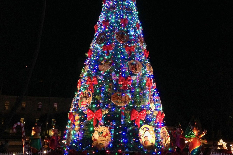 Honolulu : visite en trolleybus des lumières de Noël et Honolulu HaleHonolulu : visite en trolleybus des lumières de Noël avec Honolulu Hale