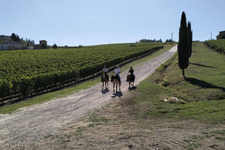 Florence: Horse ride 3h and Wine Tasting&Lunch at a castle