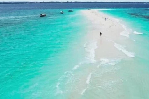 From Nungwi/Kendwa: Safari Blue Trip with Lunch & Sandbank