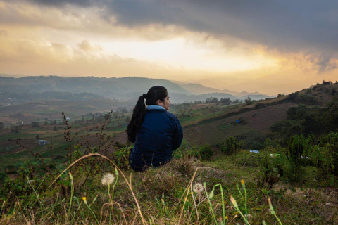 Shillong Green Trails: Guided Trekking Experience with local