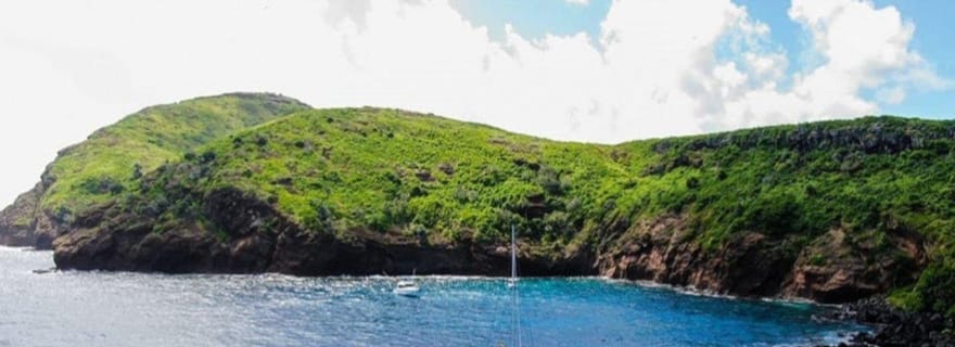 Croisière d'une journée en catamaran (île du Nord - partagée) avec prise en charge