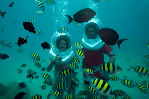 From Bangkok: Koh Larn Island Private Day Tour