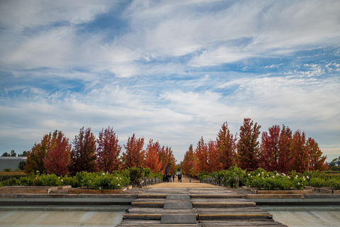 From Santiago: Viña Montes Winery Tour with Wine Tasting