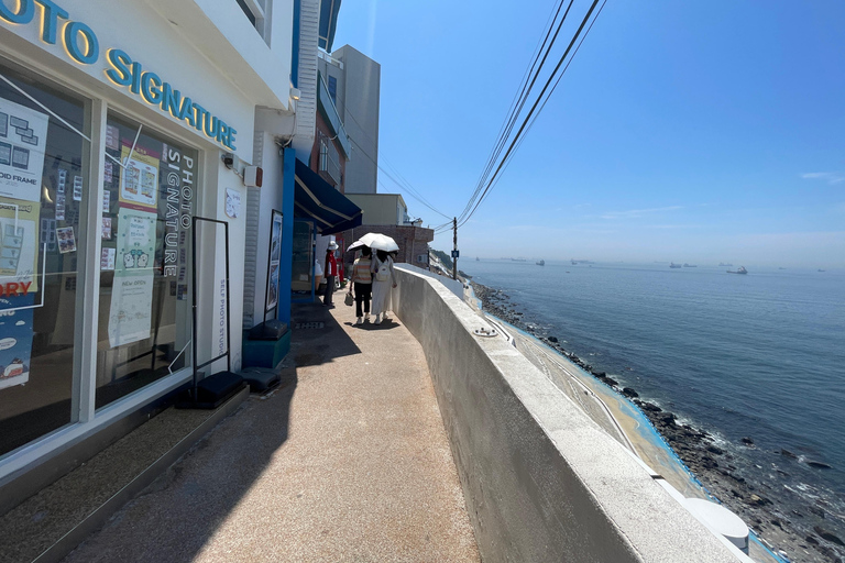 Busan: City Tour of 3 Historic Neighborhoods by Public Bus
