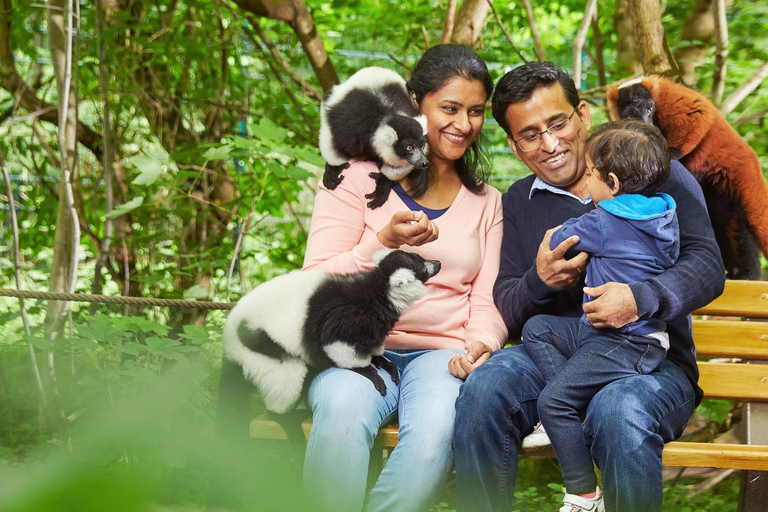 Berlín: Entradas para el zoo del este de BerlínBerlín: Entradas para el Tierpark de Berlín