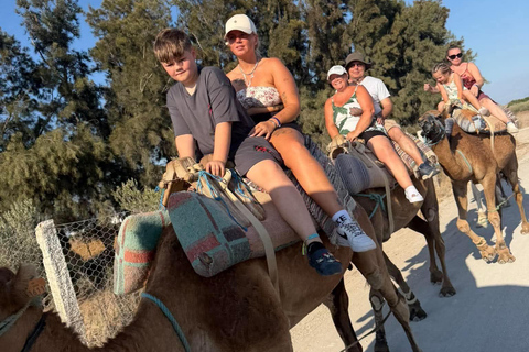 Hammamet: Dromedary and horse-drawn carriage ride with olive oil tasting Hammamet: Dromedary Ride and Carriage Ride with Olive Oil Food Tasting