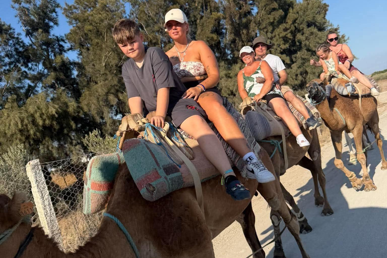 Hammamet: Dromedary and horse-drawn carriage ride with olive oil tasting Hammamet: Dromedary Ride and Carriage Ride with Olive Oil Food Tasting
