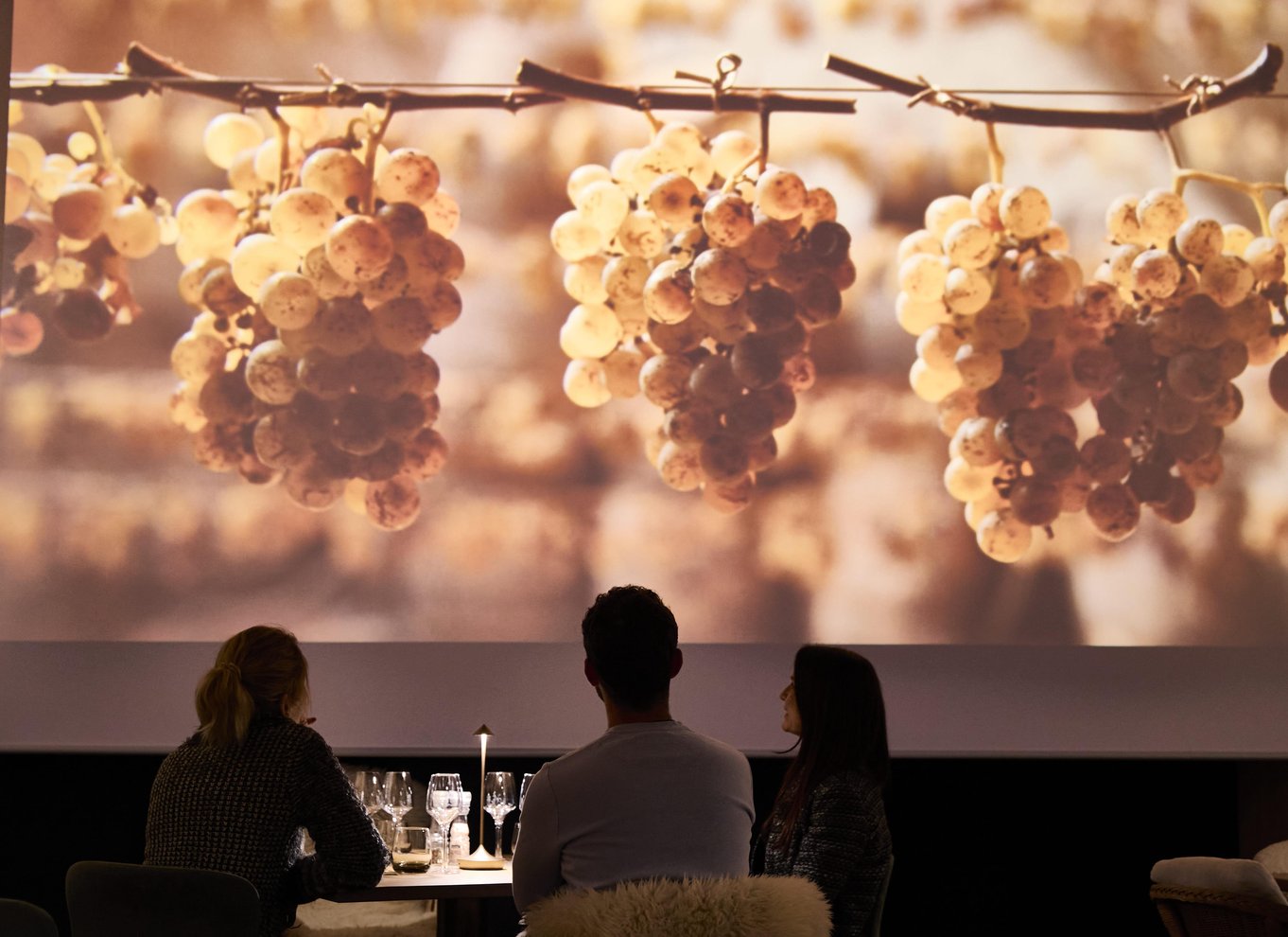 Medrivende vintur i Alsace, vinsmagning og alsacisk frokost