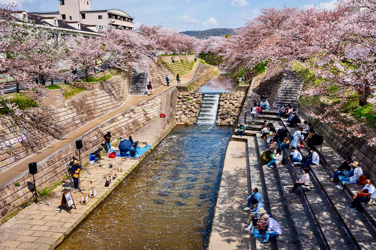 Quioto: tour familiar particular com guia, natureza e culturaKyoto: Tour particular para famílias com natureza e cultura