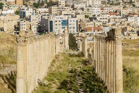 Från Amman : Jerash halvdagsutflyktTransport och inträdesbiljetter