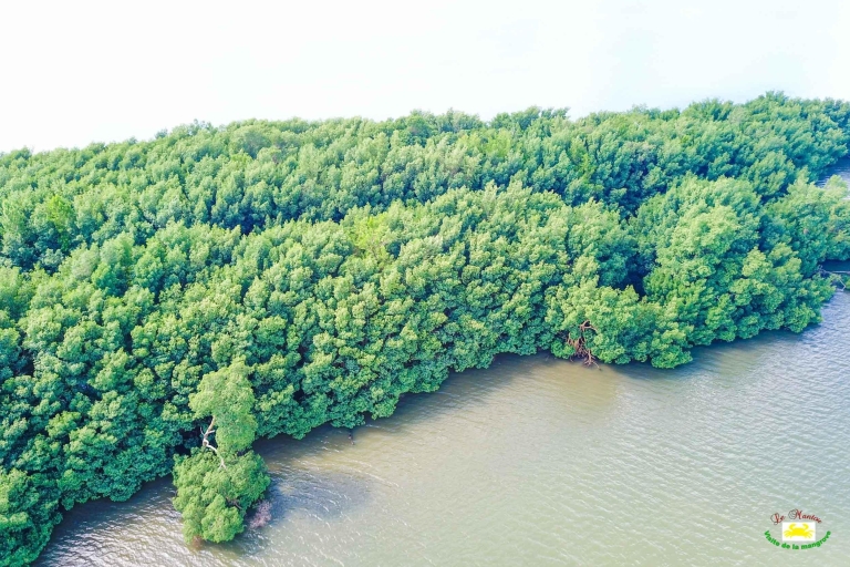 Martinique : Tour en bateau de la mangrove depuis les Trois-Îletschamp spécial