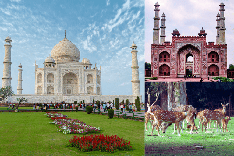 From Delhi: Taj Mahal, Agra Fort & Akbar's Tomb Day Trip Private Car + Professional Guide