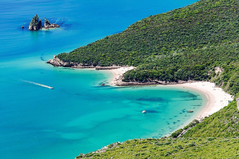 From Lisbon: Serra da Arrábida, Sesimbra, and Setúbal Wines Exclusive Private Tour