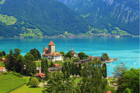 Z Lucerny: Prywatna wycieczka do Interlaken i Grindelwald