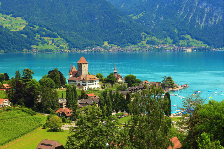 Desde Lucerna Excursión privada de un día a Interlaken y Grindelwald