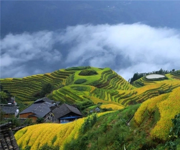 Tour particular de 6 dias: Terraços de Guilin, Fenghuang e Zhangjiajie