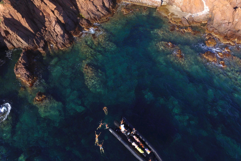 Cannes: excursión en barco por el macizo del EstérelCannes: Estérel Massif Boat Excursion