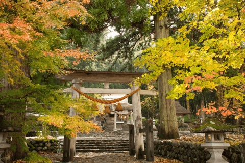 Von Osaka/Kyoto aus: Shirakawa-go, TakaYama &amp; Kanazawa Tagestour