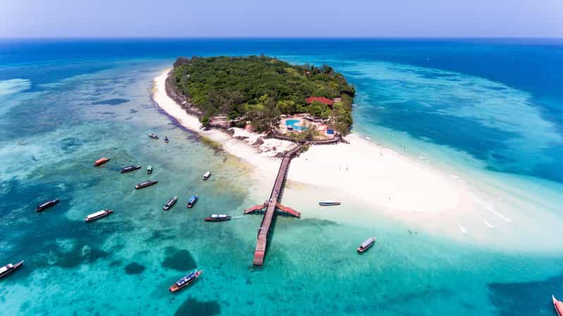 Zanzibar: Prison Island Tour from Town | GetYourGuide