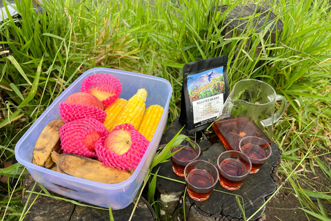 Yogyakarta: Merapi Volcano Trek with Transfer Daylight Trekking at Merapi Volcano (without sunrise)