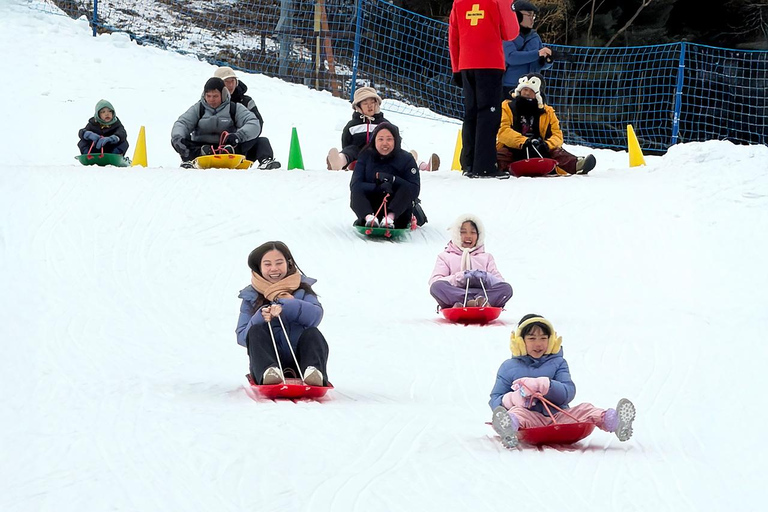 Seoul: Strawberry Picking & Eobi Ice Valley & Nami Island 5. Strawberry Picking & Eobi Ice Valley & Snow Sledding
