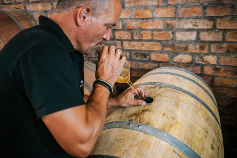 Budapest: Half-Day Wine Tour and Meal in Local Wine Village