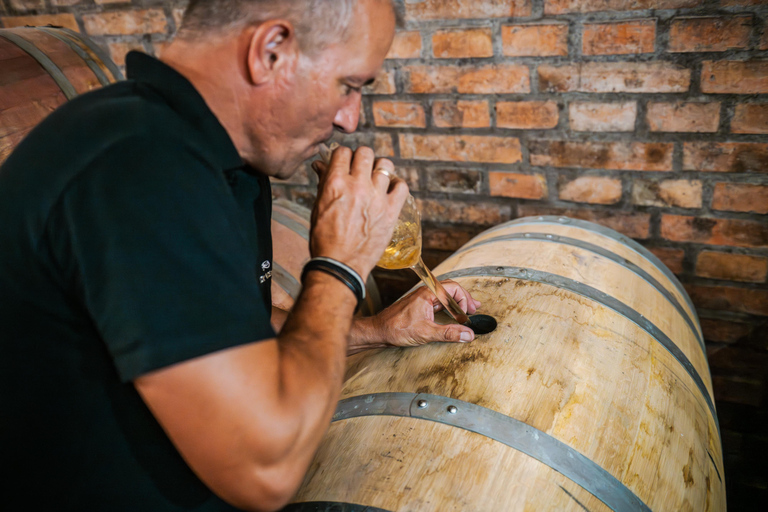 Budapest: Half-Day Wine Tour and Meal in Local Wine Village