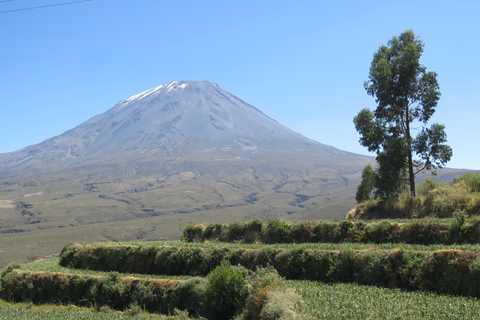 Caminhada de meio dia em Arequipa ao Vulcão MistiCaminhada de meio dia em Arequipa até o Vulcão Misti