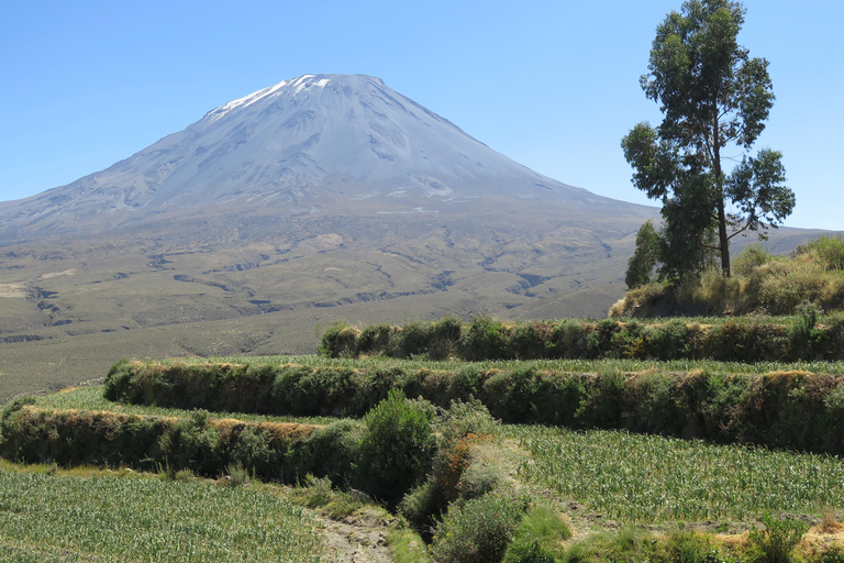 Caminhada de meio dia em Arequipa ao Vulcão MistiCaminhada de meio dia em Arequipa até o Vulcão Misti