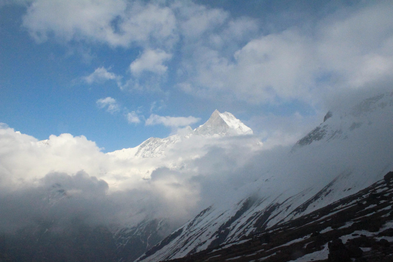 from Pokhara: 7-Day Annapurna Base Camp Trek