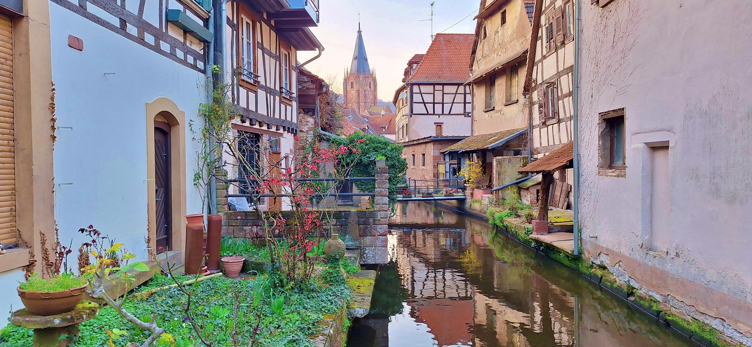 Heidelberg: Weintor, Burg, Elsass - Tour durch die Pfalz nach Frankreich