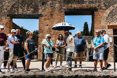 From Naples: Pompeii Shore Excursion for Cruisers with Guide From Pompeii: Guided Tour + Entry Ticket