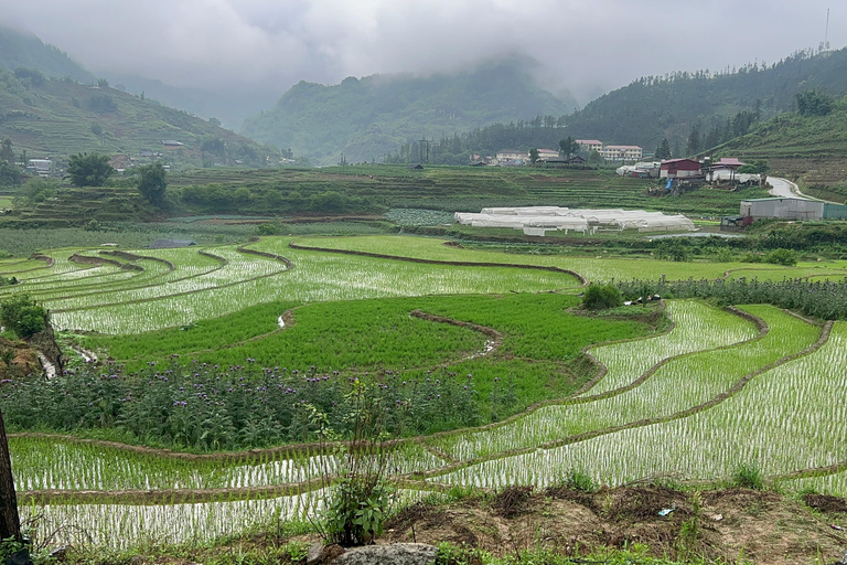 2-Day Sapa City Tour & Discover Fansipan Mountain From Hanoi