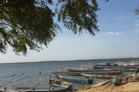 Sine Saloum Day Tour: Mangroves, Islands, and Authentic Villages Sine Saloum by dugout canoe: mangroves, Bird Island, and Mar Lodj