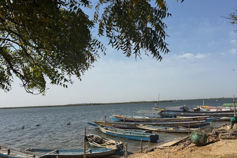 Sine Saloum Day Tour: Mangroves, Islands, and Authentic Villages Sine Saloum by dugout canoe: mangroves, Bird Island, and Mar Lodj