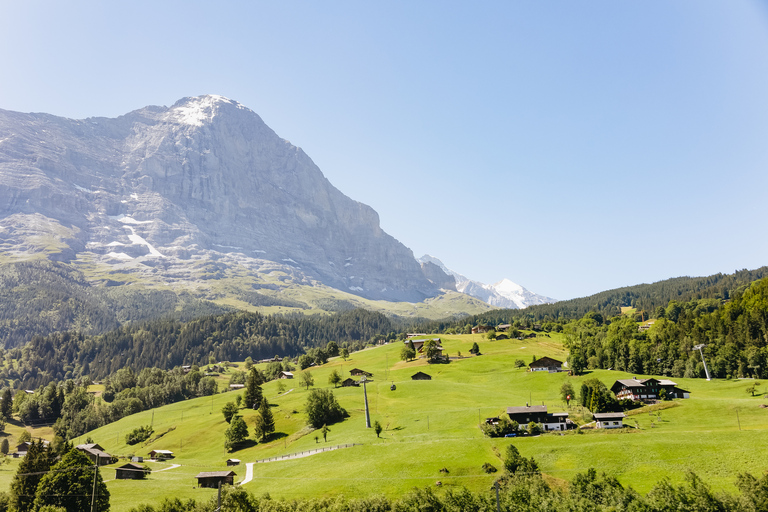 From Zurich: Guided Day Trip to Jungfraujoch with Train Ride