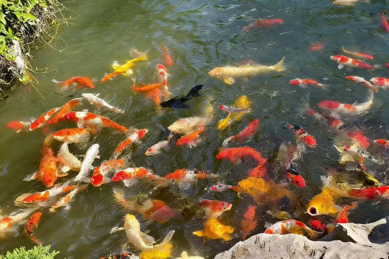 Zhujiajiao Cultural Experience: Boat Ride & Zongzi Making