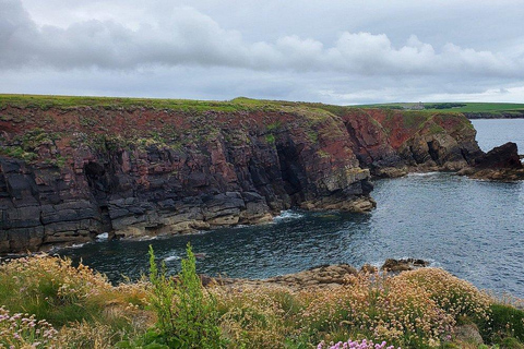 Cardiff: Pembrokeshire Coast & St. Davids Private Voyage