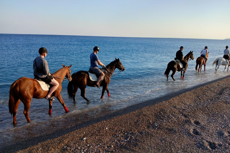 Faliraki/Afadou: Horse Ride to the Beach