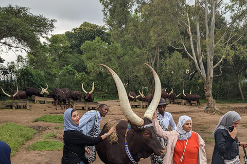 De Kigali: Visita de 1 dia à aldeia cultural de Iby&#039;Iwacu