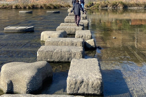 E-Bike Tour in Kyoto with Asuka, Japanese graduate student