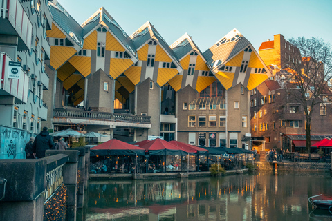 Rotterdam: PRIVATE Highlight & Hidden Gems Walk With Local