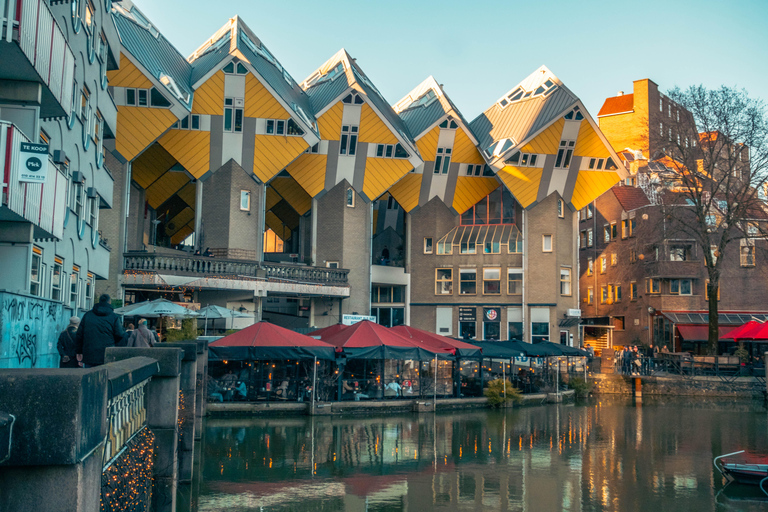 Rotterdam: PRIVATE Highlight & Hidden Gems Walk With Local