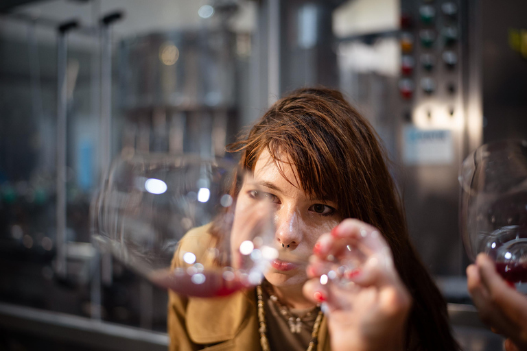 Yerevan: Wine Tasting and Vineyard Lunch at Voskeni Winery