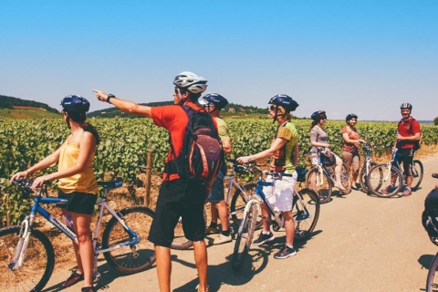 Bordeaux: Private Fahrradtour mit Weinverkostung im ChateauBordeaux Fahrradtour + Schlossbesuch