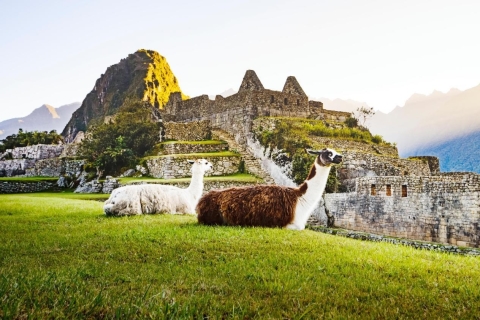 From Cusco: Excursion to Machu Picchu by Tourist Train Machu Picchu 2 days
